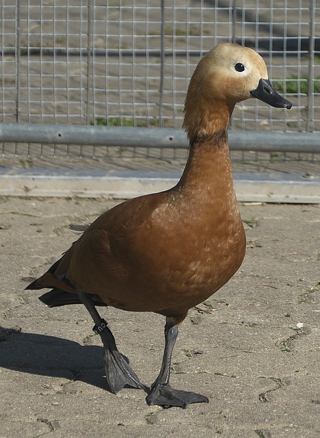 人开始重视