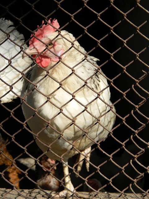 场控制能力 场控制能力