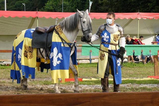 项重要改革 项重要改革