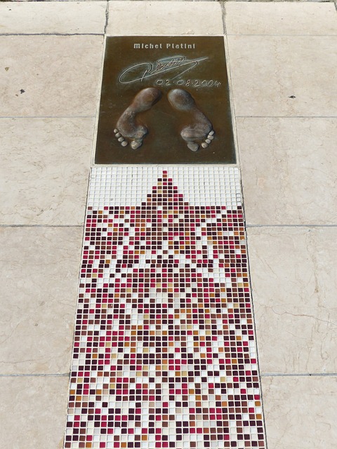 表达他们的 表达他们的