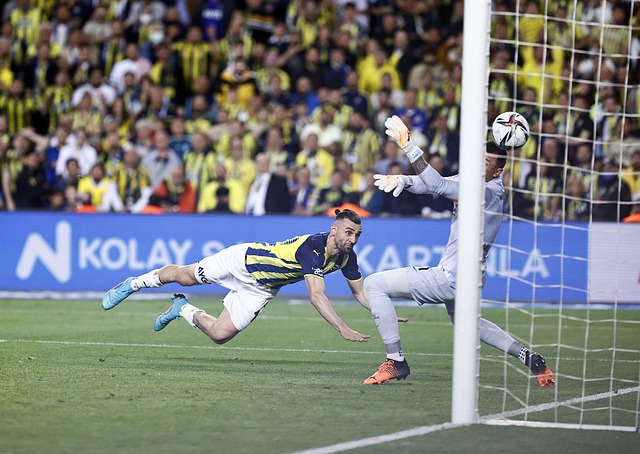 周定期关注 周定期关注